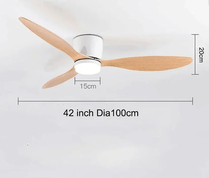 HereBetter™ IRALAN Modern Ceiling Fan with LED